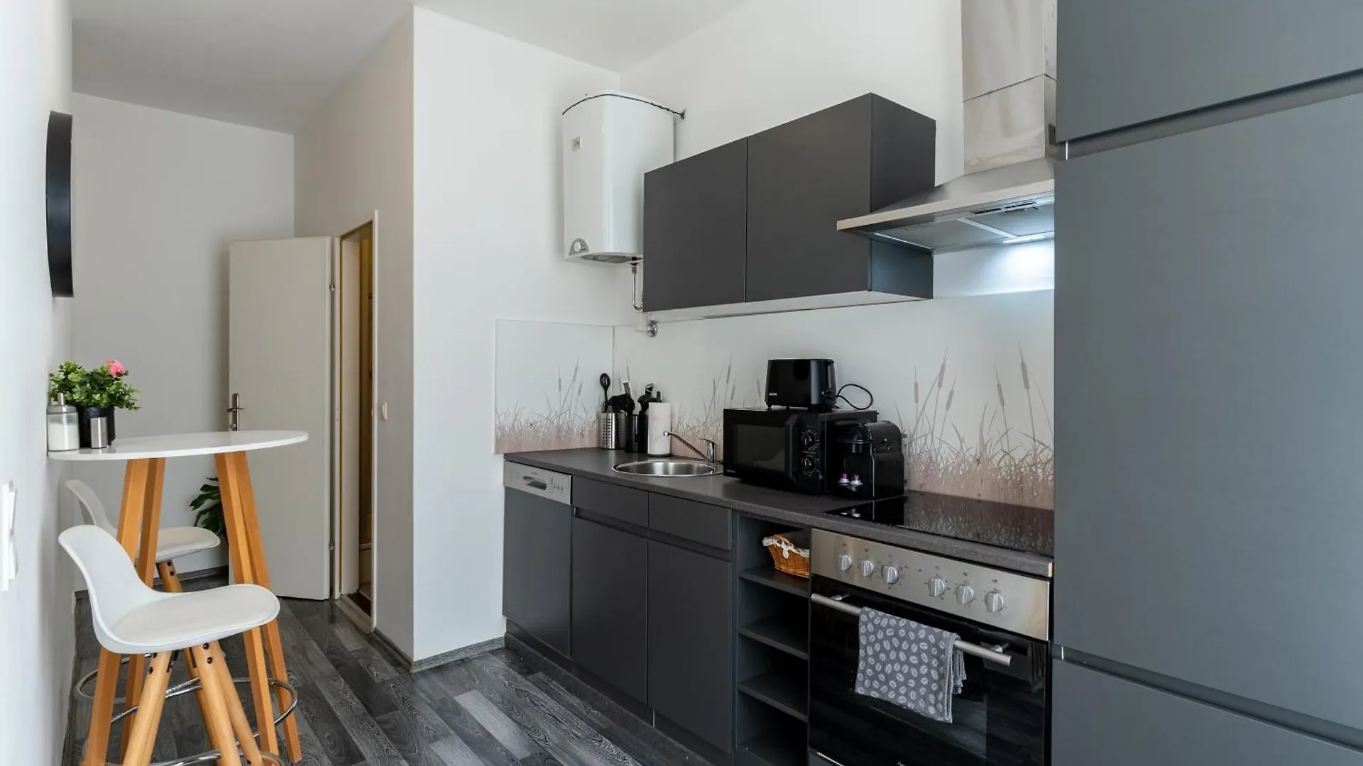 Gemuetliches App. Messe / Prater Apartment Vienna Austria